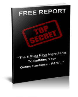 The 5 Must Have Ingredients To Build An Online Business Fast